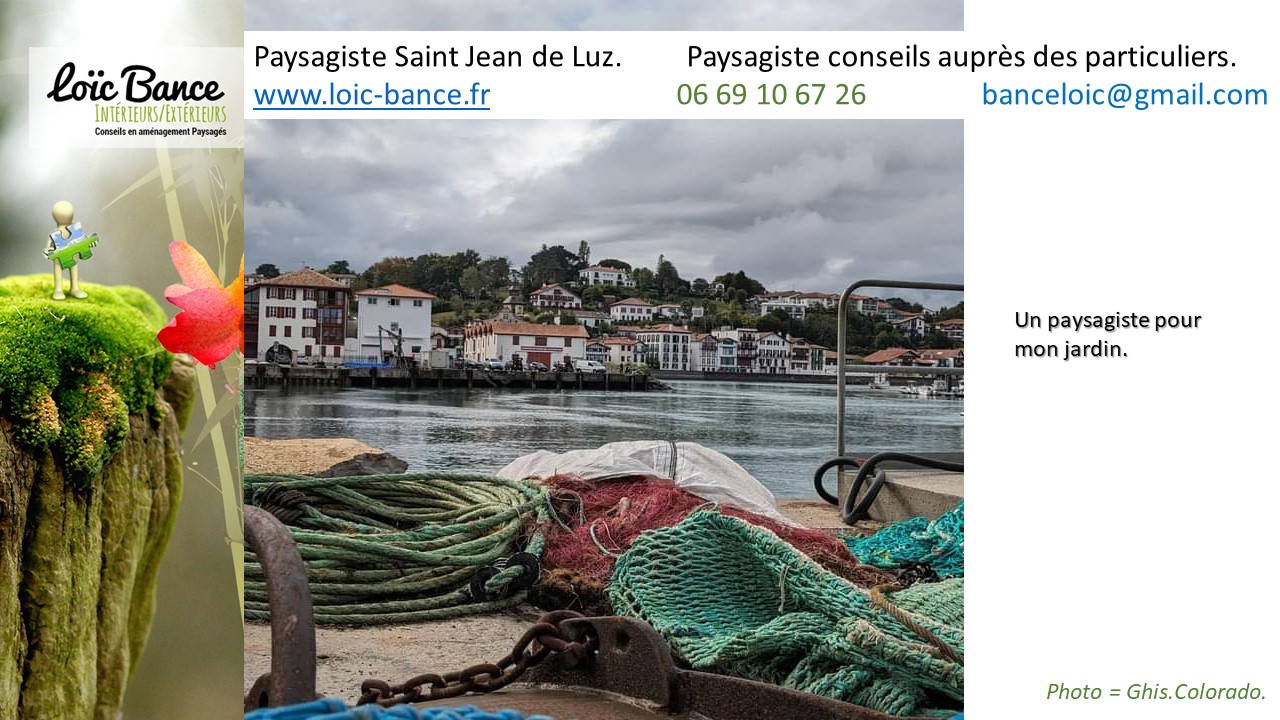 Saint-Jean-de-Luz-Paysages le port des pcheurs