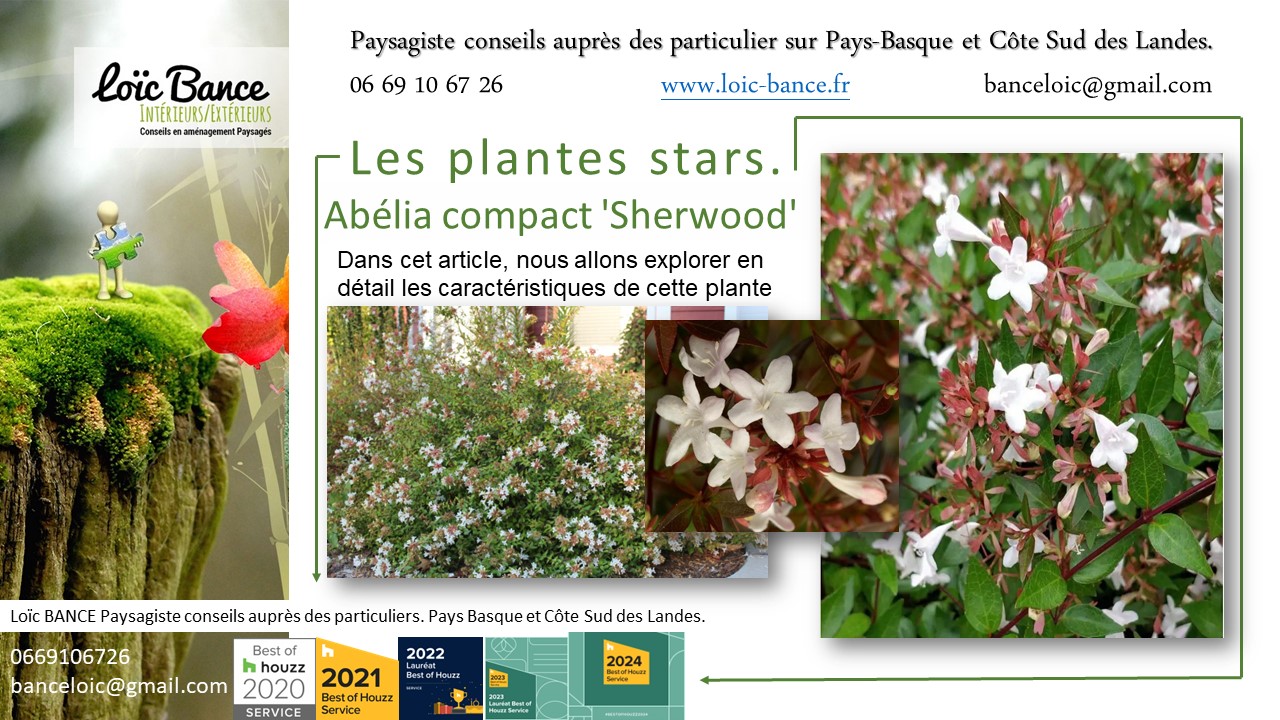 Paysagiste Pays Basque; Paysagiste Landes; Paysagiste conseil; Landes; Ahetze; Anglet; Arbonne; Arcangues; Bayonne; Biarritz; Capbreton; Guthary; Hossegor; Saint Jean de Luz; 