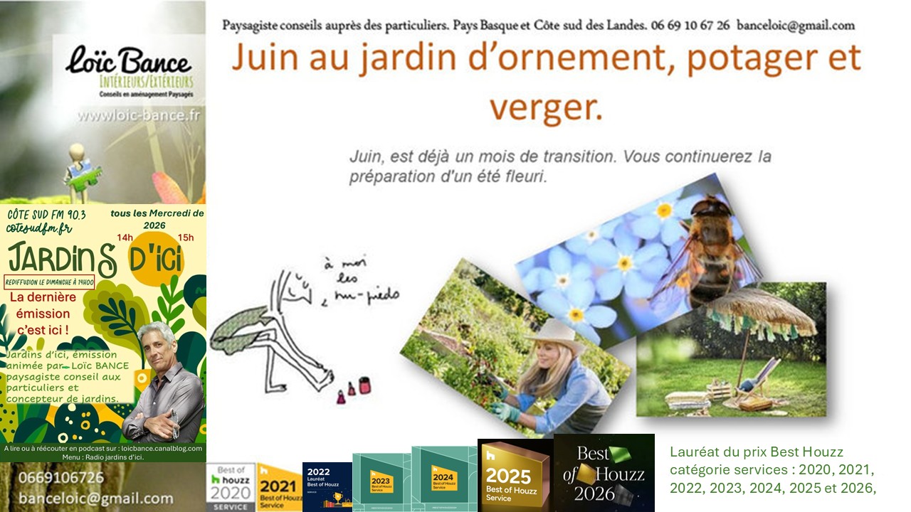 Les travaux de juin 2026 au jardin d'ornement, potager ou fruitier. Saint Jean de Luz Paysages