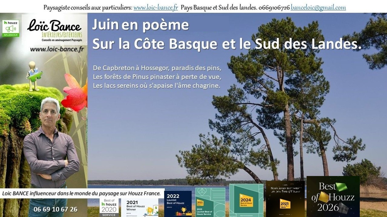 Juin en po�me sur la C�te Basco-Landaise. Saint Jean de Luz Paysages