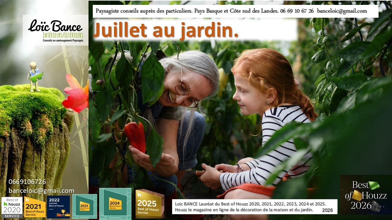 Paysagiste Saint Jean de Luz Juillet au jardin