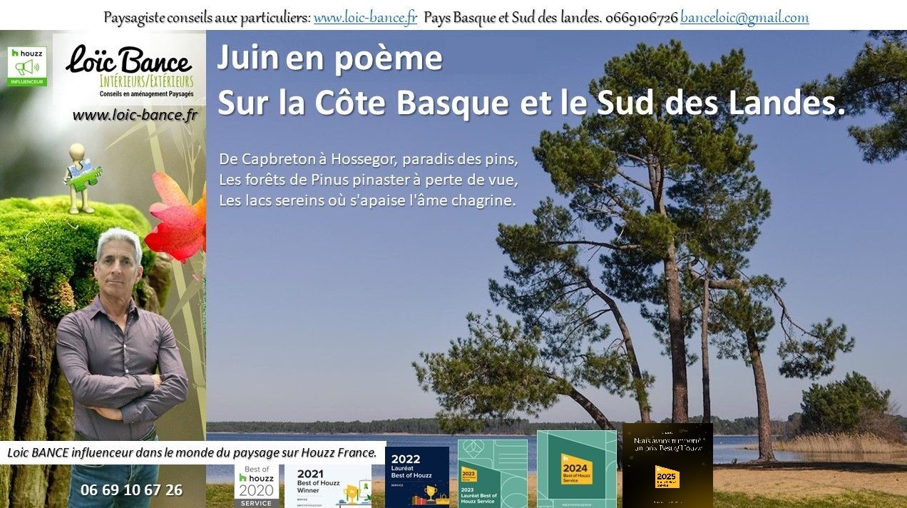 paysages; Landes; Pays Basque; Paysagiste; Paysagiste Landes; Paysagiste Pays Basque; Loc BANCE; Concepteur de jardins; Amnagements paysagers; Paysagiste conseils aux particuliers; Juin; Saint Jean de Luz; 